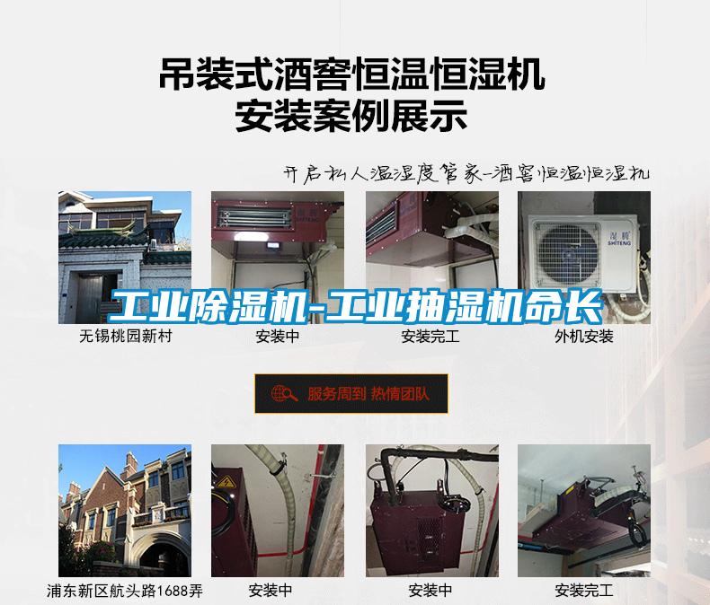 工业草莓视频APP在线观看-工业抽湿机命长