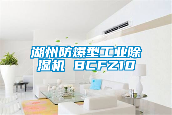 湖州防爆型工业草莓视频APP在线观看 BCFZ10