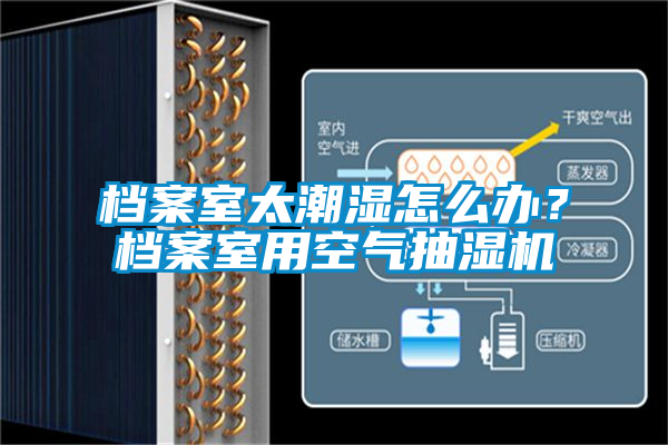 档案室太潮湿怎么办？档案室用空气抽湿机