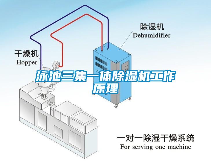 泳池三集一体草莓视频APP在线观看工作原理