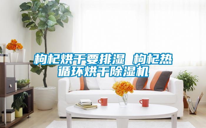 枸杞烘干要排湿 枸杞热循环烘干草莓视频APP在线观看