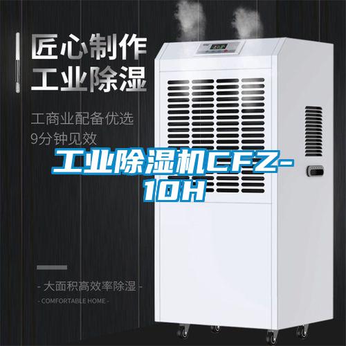 工业草莓视频APP在线观看CFZ-10H