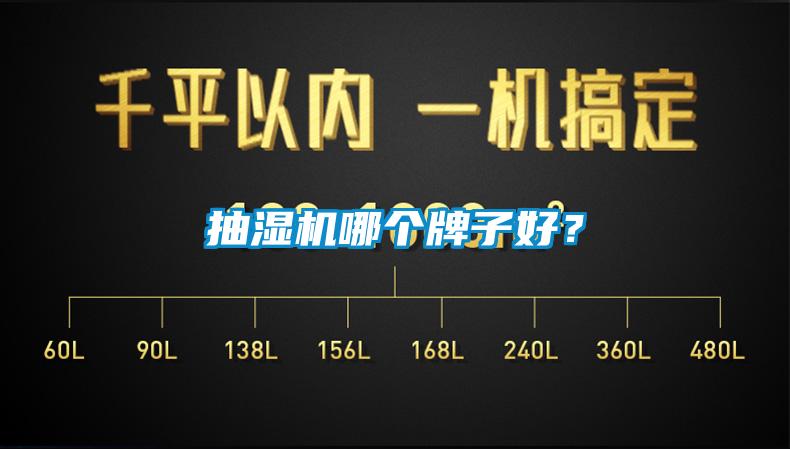 抽湿机哪个牌子好？