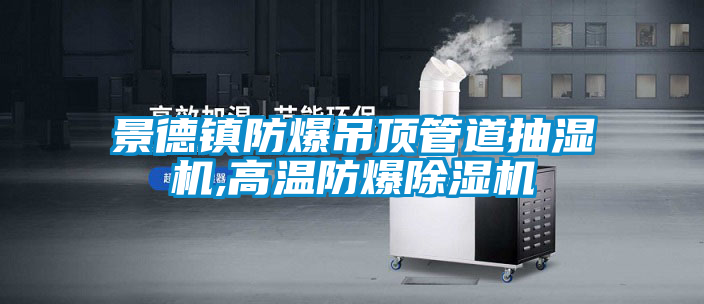 景德镇防爆吊顶管道抽湿机,高温防爆草莓视频APP在线观看