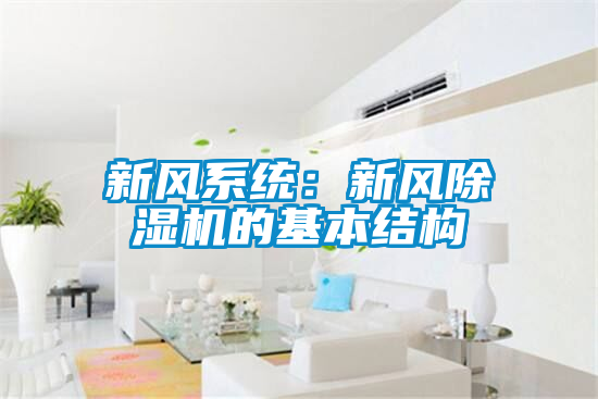 新风系统：新风草莓视频APP在线观看的基本结构