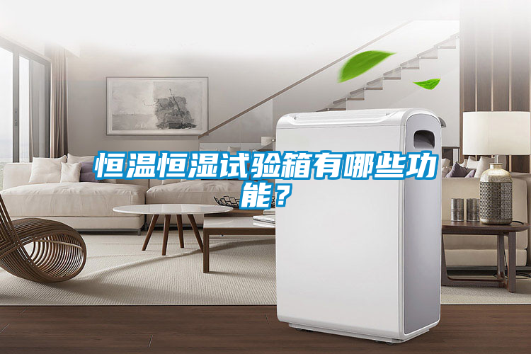 恒温恒湿试验箱有哪些功能？