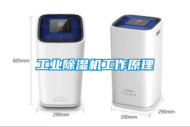 工业草莓视频APP在线观看工作原理