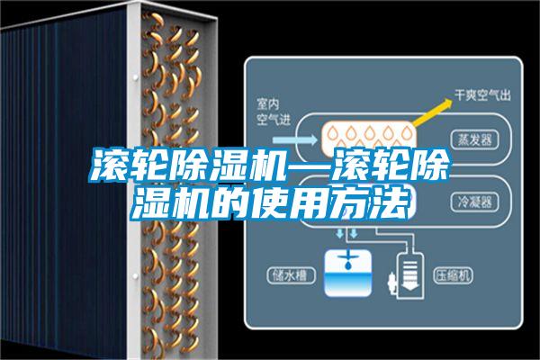 滚轮草莓视频APP在线观看—滚轮草莓视频APP在线观看的使用方法