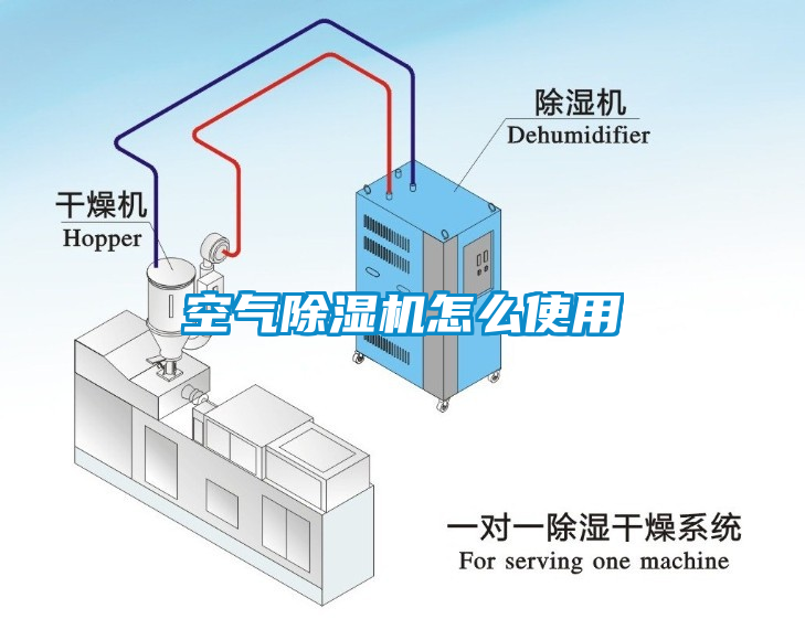 空气草莓视频APP在线观看怎么使用
