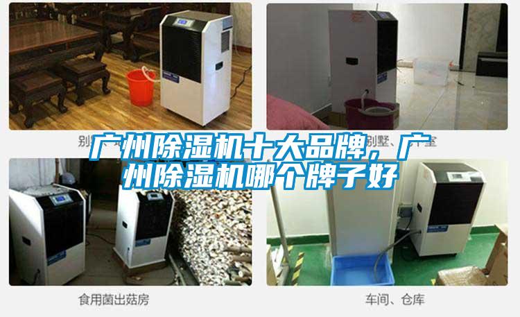 广州草莓视频APP在线观看十大品牌，广州草莓视频APP在线观看哪个牌子好