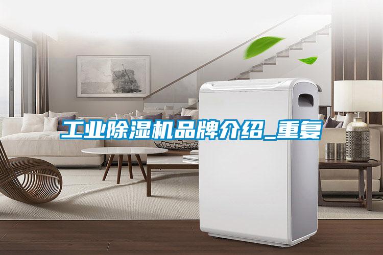 工业草莓视频APP在线观看品牌介绍_重复