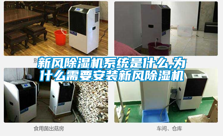 新风草莓视频APP在线观看系统是什么,为什么需要安装新风草莓视频APP在线观看