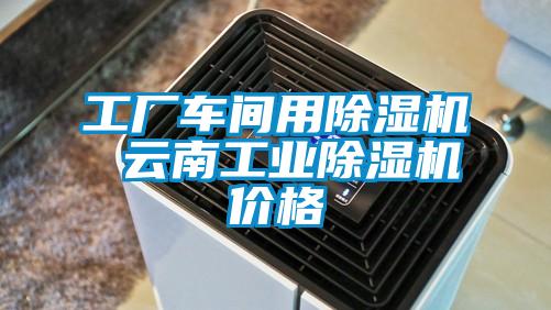 工厂车间用草莓视频APP在线观看 云南工业草莓视频APP在线观看价格