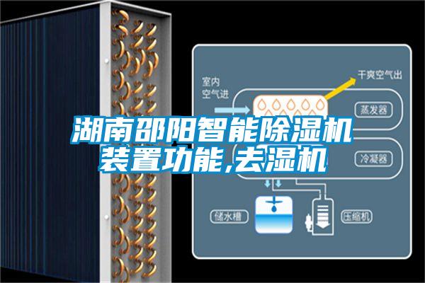 湖南邵阳智能草莓视频APP在线观看装置功能,去湿机