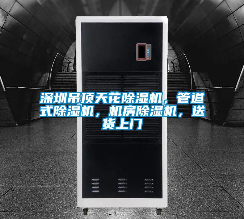 深圳吊顶天花草莓视频APP在线观看，管道式草莓视频APP在线观看，机房草莓视频APP在线观看，送货上门