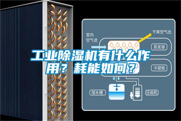 工业草莓视频APP在线观看有什么作用？耗能如何？