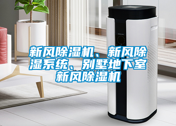 新风草莓视频APP在线观看、新风除湿系统、别墅地下室新风草莓视频APP在线观看