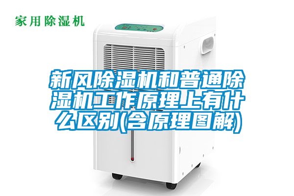 新风草莓视频APP在线观看和普通草莓视频APP在线观看工作原理上有什么区别(含原理图解)
