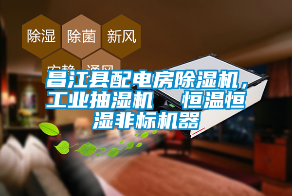 昌江县配电房草莓视频APP在线观看，工业抽湿机  恒温恒湿非标机器