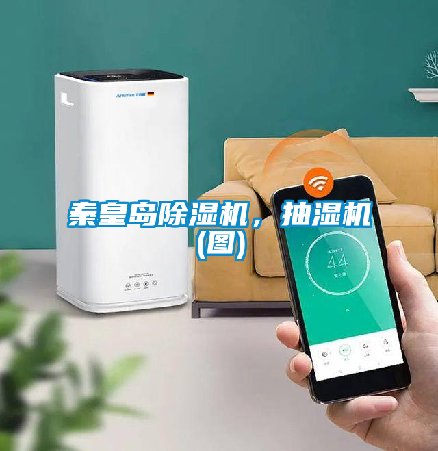秦皇岛草莓视频APP在线观看，抽湿机(图)