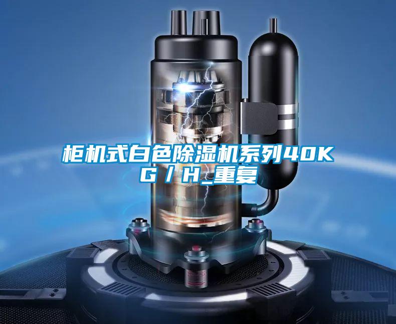 柜机式白色草莓视频APP在线观看系列40KG／H_重复