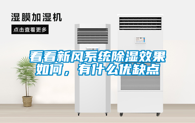 看看新风系统除湿效果如何，有什么优缺点