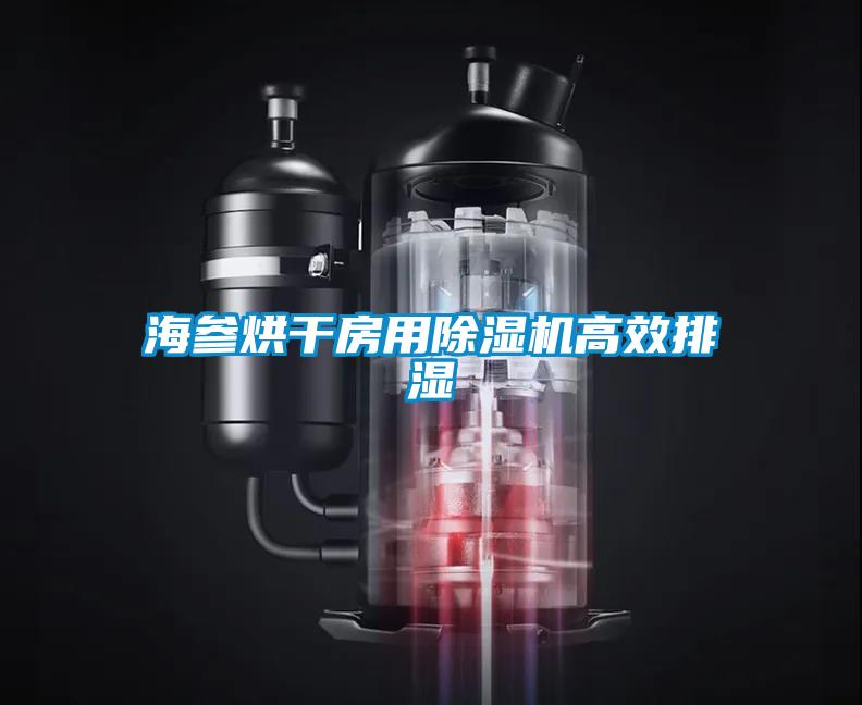 海参烘干房用草莓视频APP在线观看高效排湿