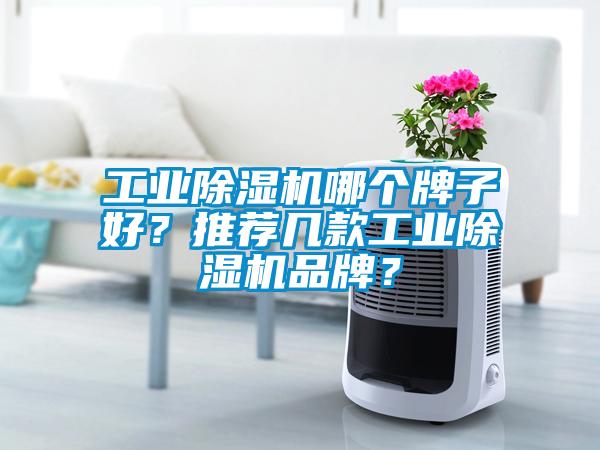 工业草莓视频APP在线观看哪个牌子好？推荐几款工业草莓视频APP在线观看品牌？