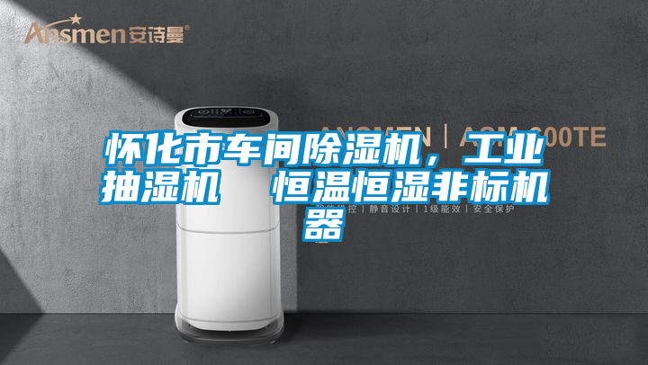 怀化市车间草莓视频APP在线观看，工业抽湿机  恒温恒湿非标机器