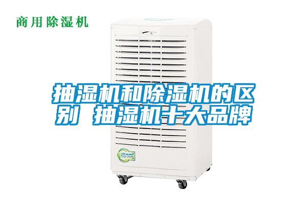 抽湿机和草莓视频APP在线观看的区别 抽湿机十大品牌
