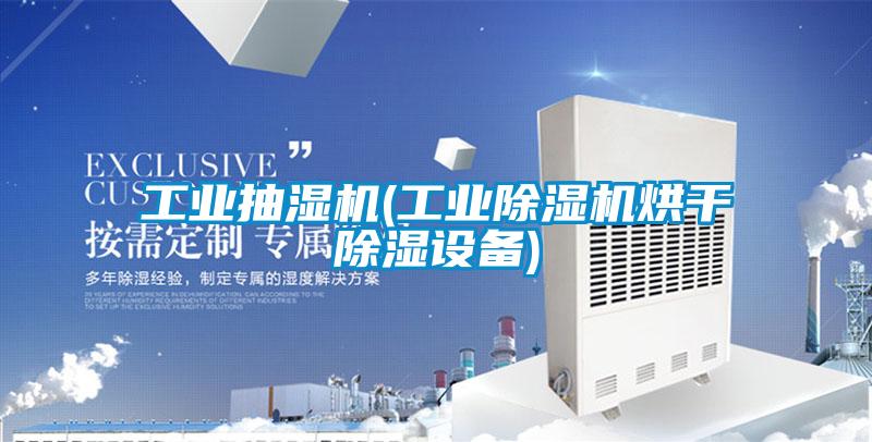 工业抽湿机(工业草莓视频APP在线观看烘干除湿设备)