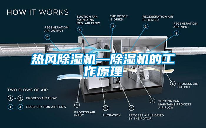 热风草莓视频APP在线观看—草莓视频APP在线观看的工作原理
