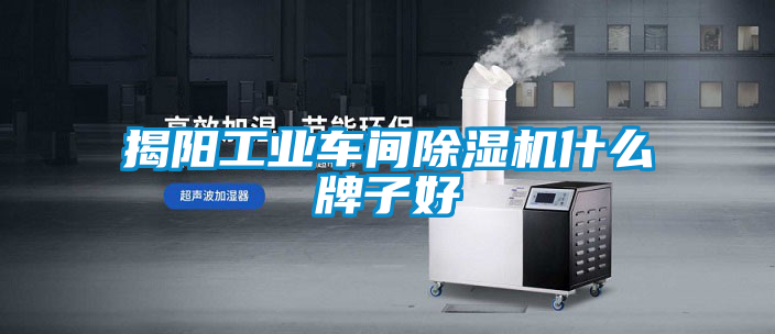 揭阳工业车间草莓视频APP在线观看什么牌子好