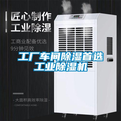 工厂车间除湿首选工业草莓视频APP在线观看
