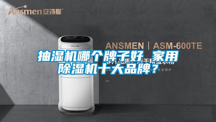 抽湿机哪个牌子好 家用草莓视频APP在线观看十大品牌？
