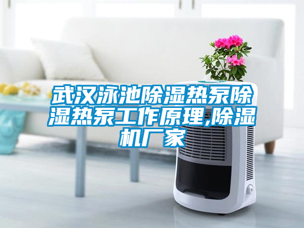 武汉泳池除湿热泵除湿热泵工作原理,草莓视频APP在线观看厂家