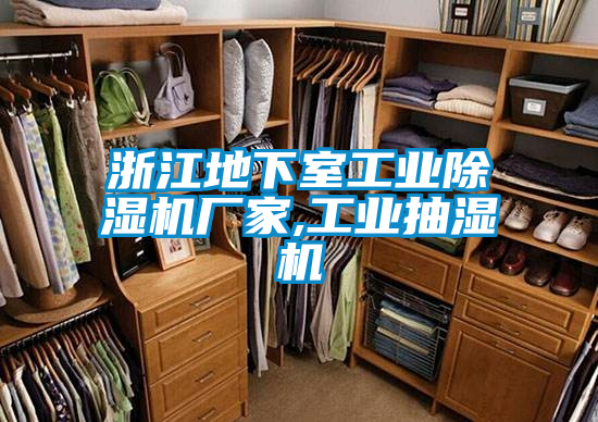 浙江地下室工业草莓视频APP在线观看厂家,工业抽湿机