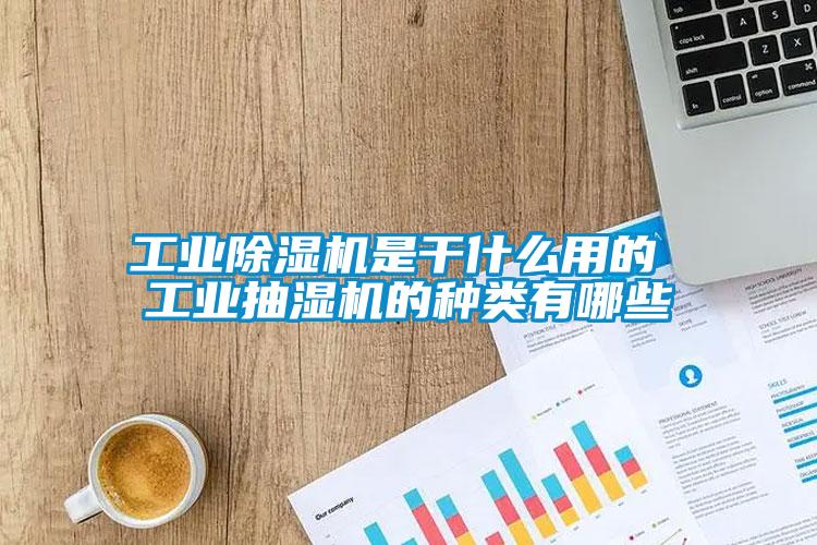工业草莓视频APP在线观看是干什么用的 工业抽湿机的种类有哪些