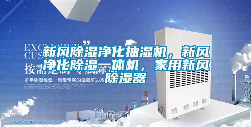 新风除湿净化抽湿机，新风净化除湿一体机，家用新风除湿器