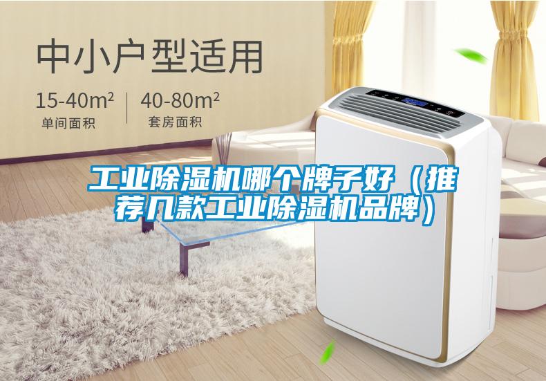 工业草莓视频APP在线观看哪个牌子好（推荐几款工业草莓视频APP在线观看品牌）