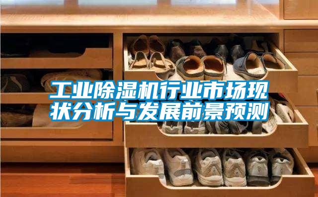 工业草莓视频APP在线观看行业市场现状分析与发展前景预测