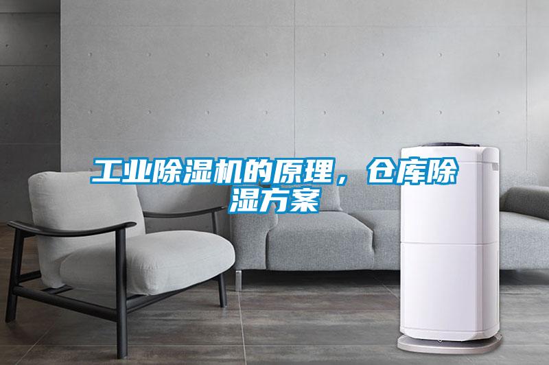 工业草莓视频APP在线观看的原理，仓库除湿方案