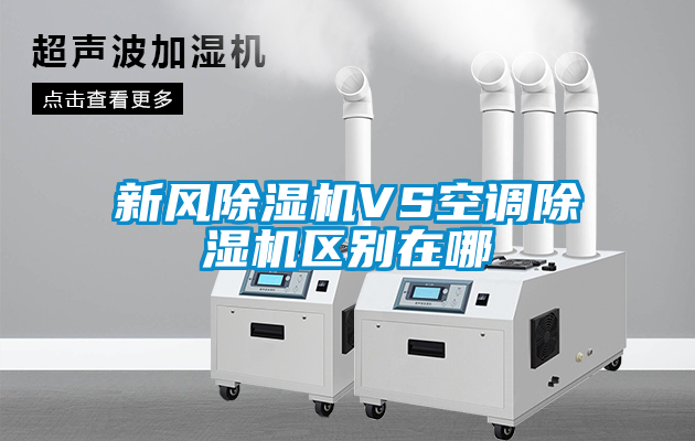 新风草莓视频APP在线观看VS空调草莓视频APP在线观看区别在哪