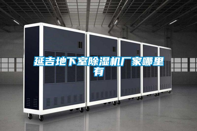 延吉地下室草莓视频APP在线观看厂家哪里有