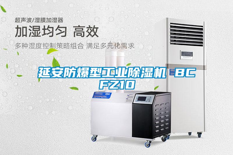 延安防爆型工业草莓视频APP在线观看 BCFZ10
