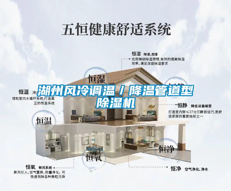 湖州风冷调温／降温管道型草莓视频APP在线观看