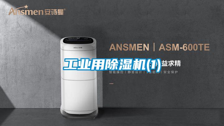 工业用草莓视频APP在线观看(1)