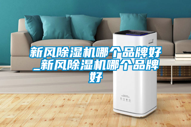 新风草莓视频APP在线观看哪个品牌好_新风草莓视频APP在线观看哪个品牌好