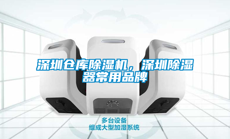深圳仓库草莓视频APP在线观看，深圳除湿器常用品牌