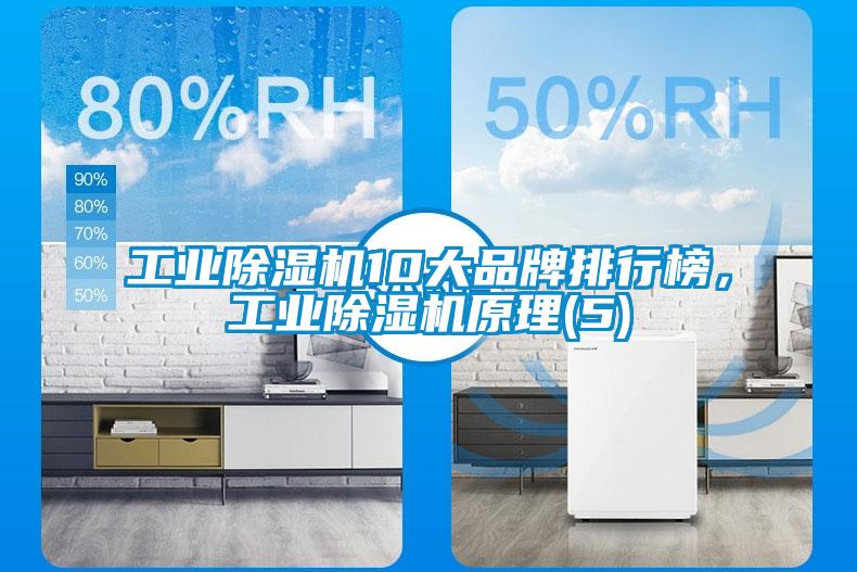 工业草莓视频APP在线观看10大品牌排行榜，工业草莓视频APP在线观看原理(5)